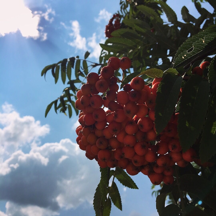 sky