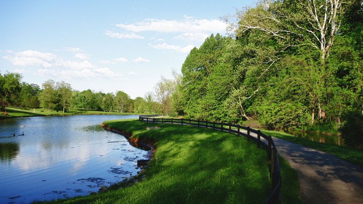 A Park