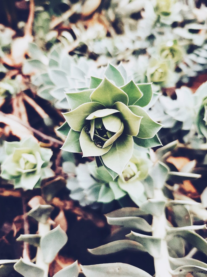April