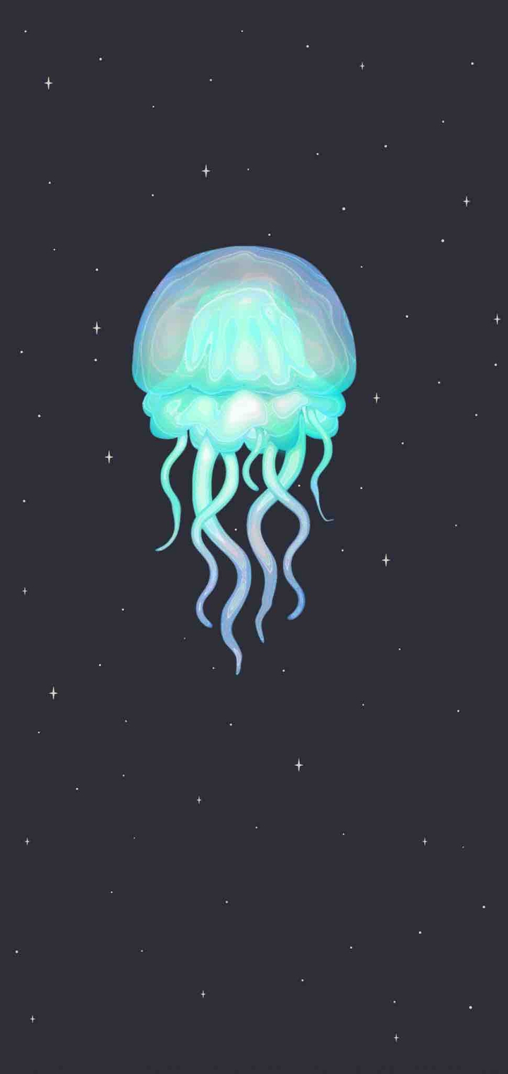⠀