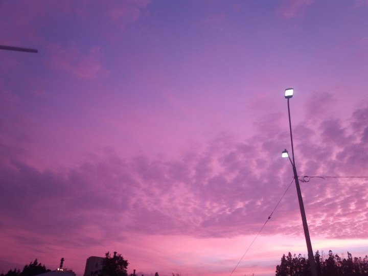 Cielo rosado