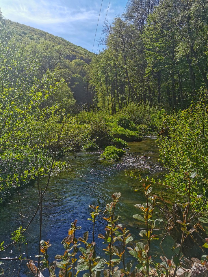 wonderland