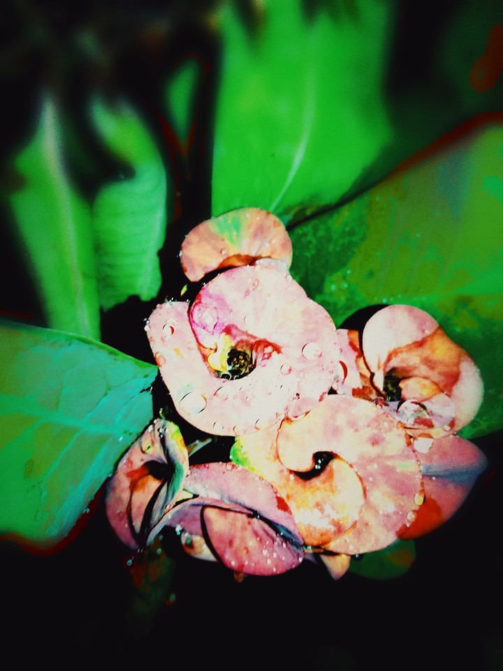 photography