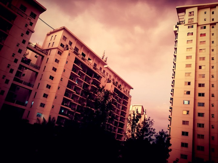 society #lovedthesociety #phonephotography #evening