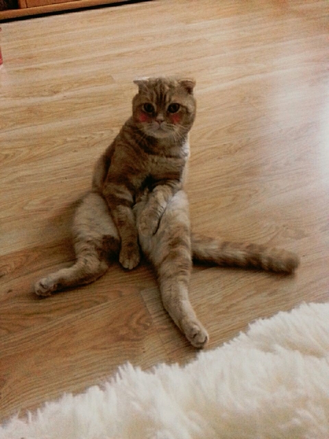 My love♡