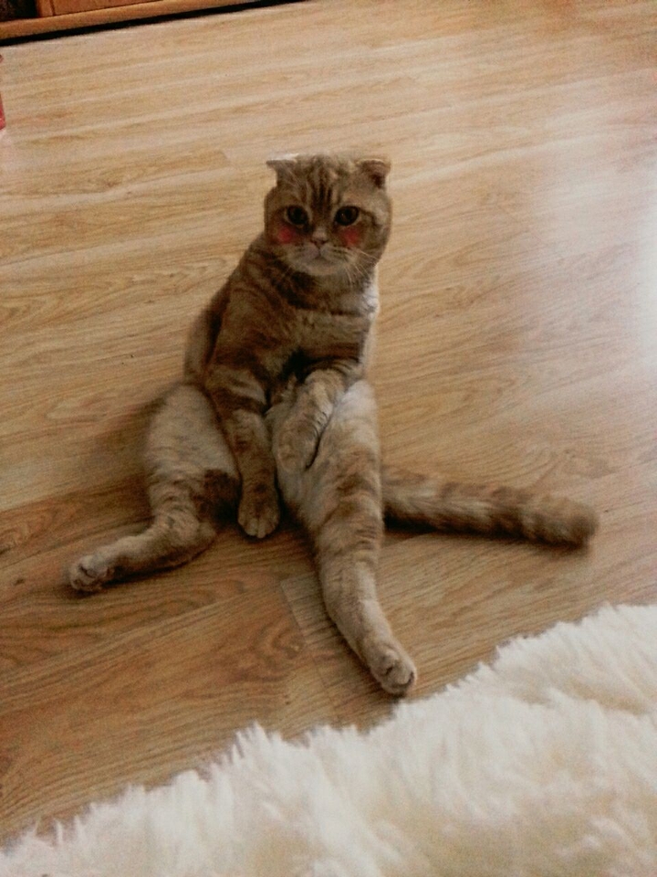 My love♡