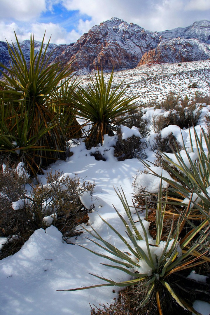 Red Rock canyon snow