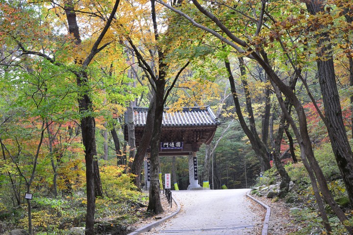 치악산이미지