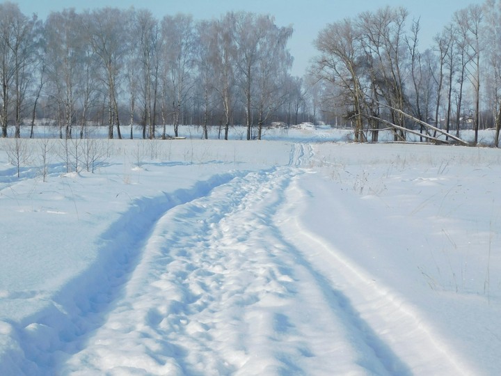 Зимняя дорога