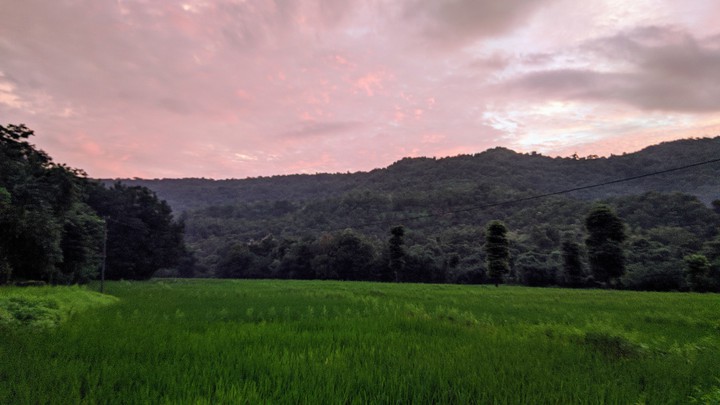 sunset