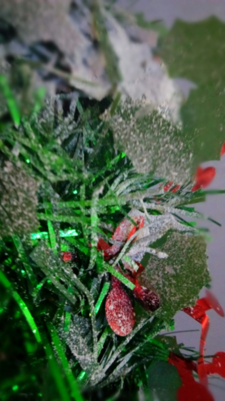 mery crismas