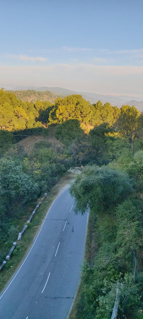 dream road