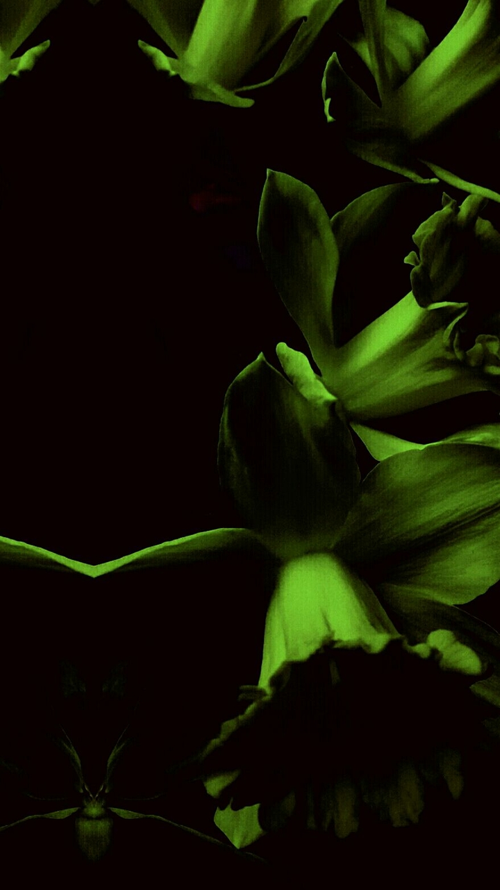 dark green