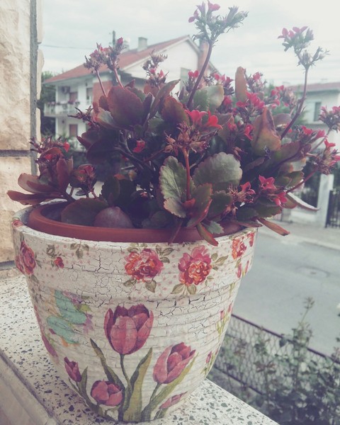 Flowers everywhere