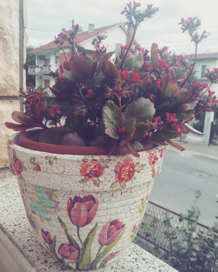 Flowers everywhere