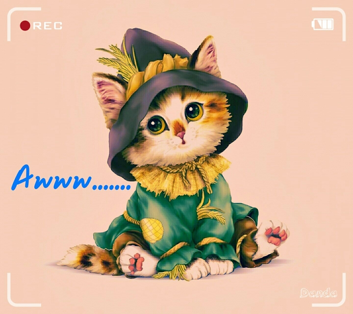 Alone cat