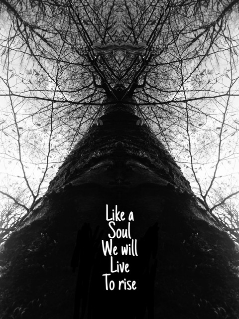tree of life
