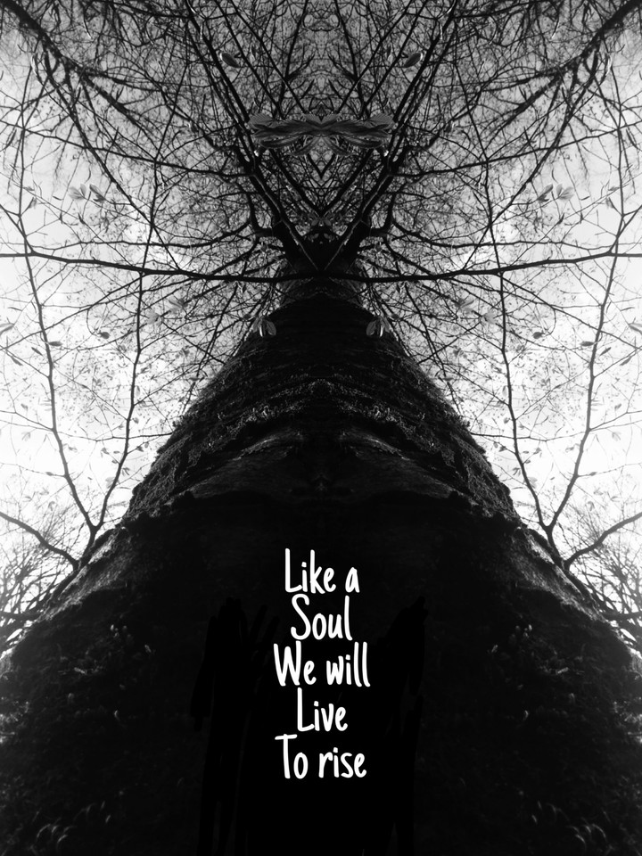 tree of life