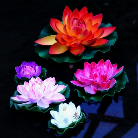 Lotus