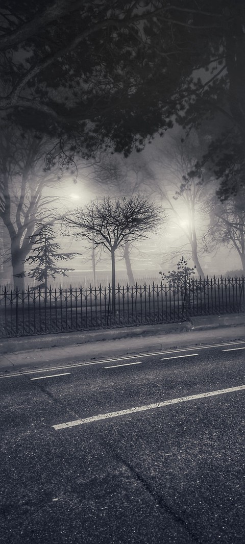 foggy night
