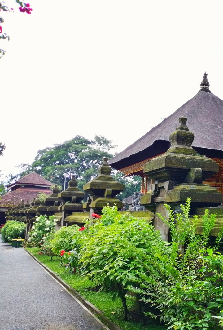 The rich Balinese culture!!