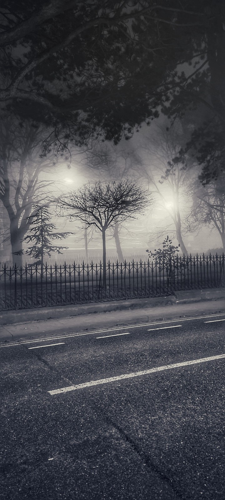 foggy night