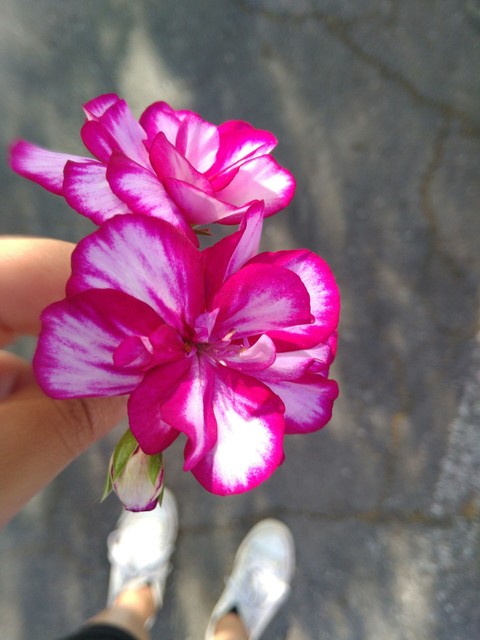 Spring florals.
