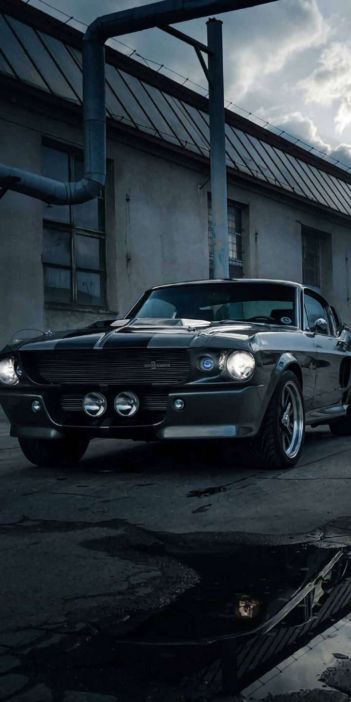 Black Beauty