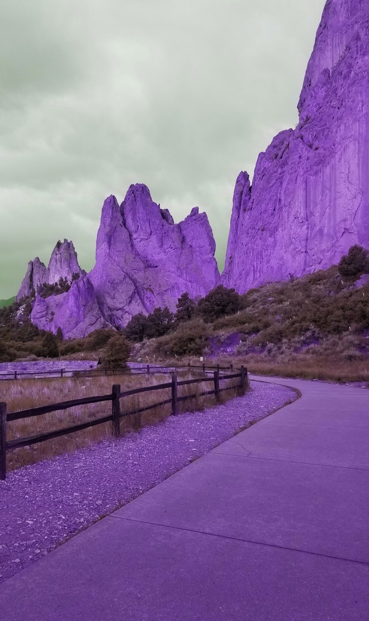 Purple Mountain Majesty