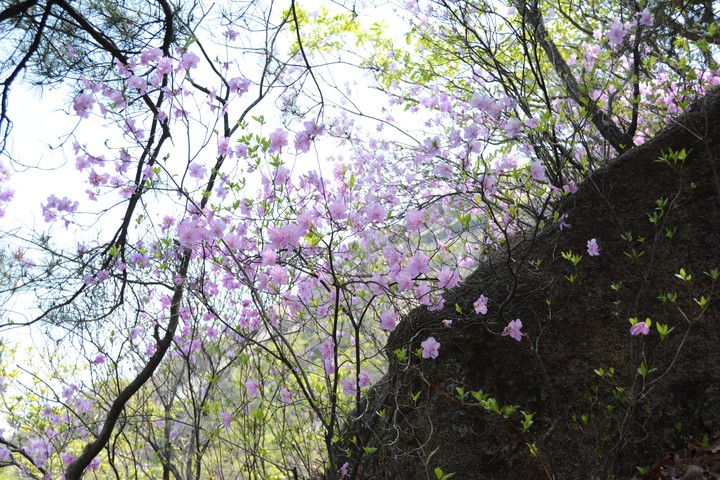 수락산이미지
