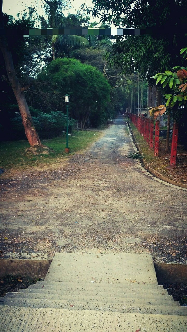 nothing is beautiful than beautiful roads