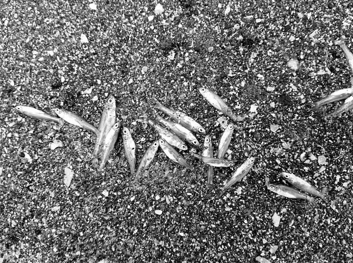 End Of The Life