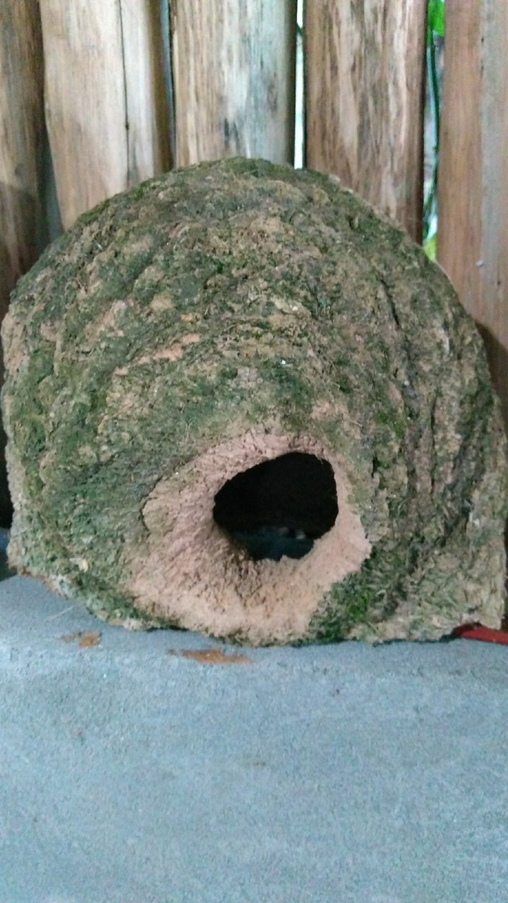Natureza