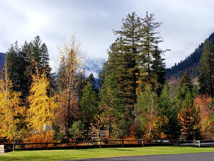 fall