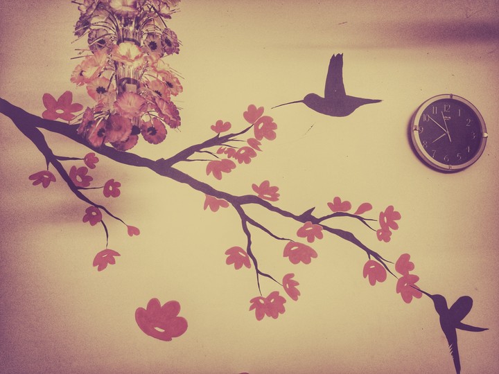 wall
