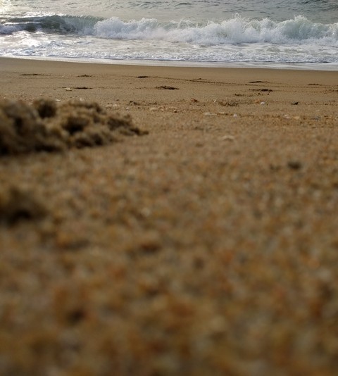 beach