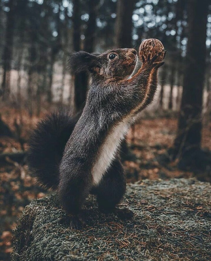 find