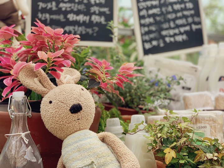 rabbit doll