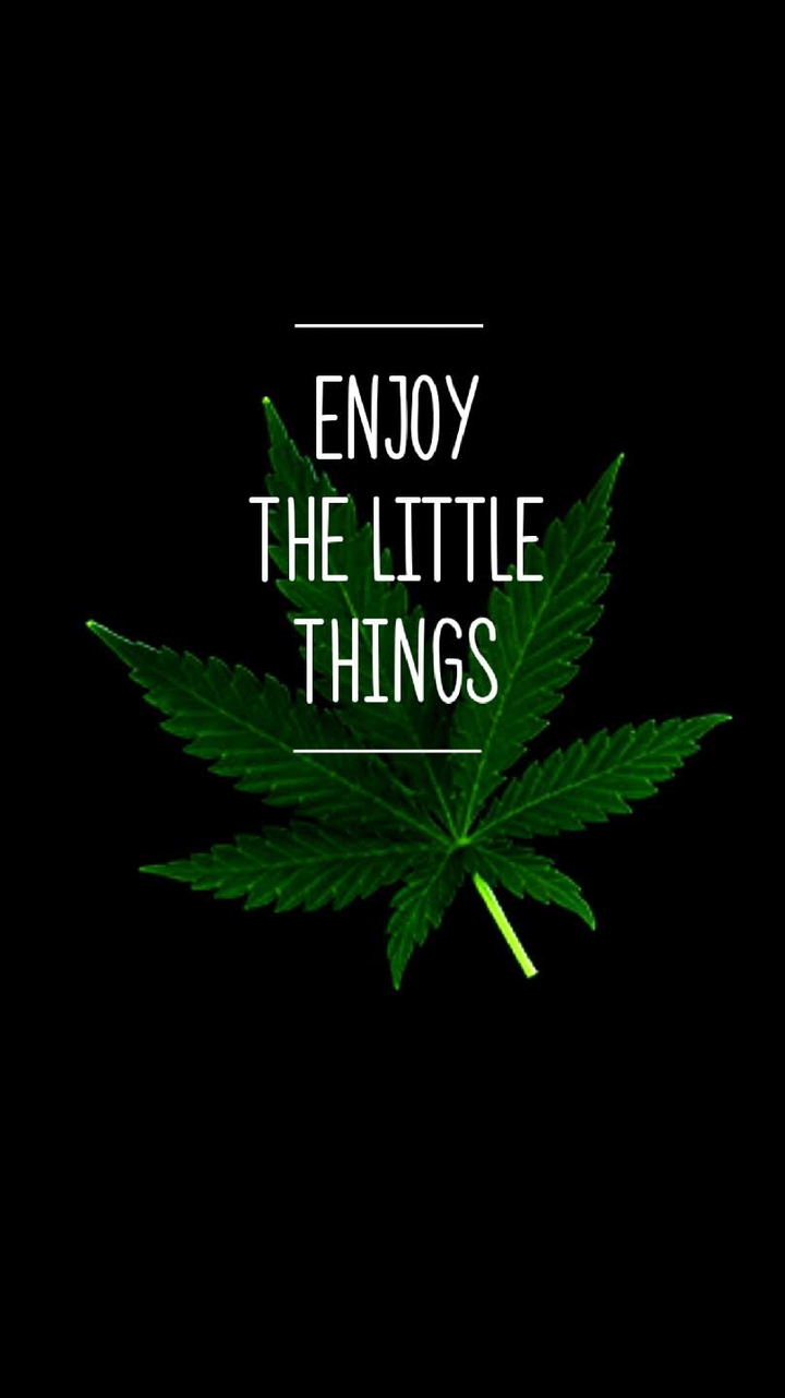 enjoy