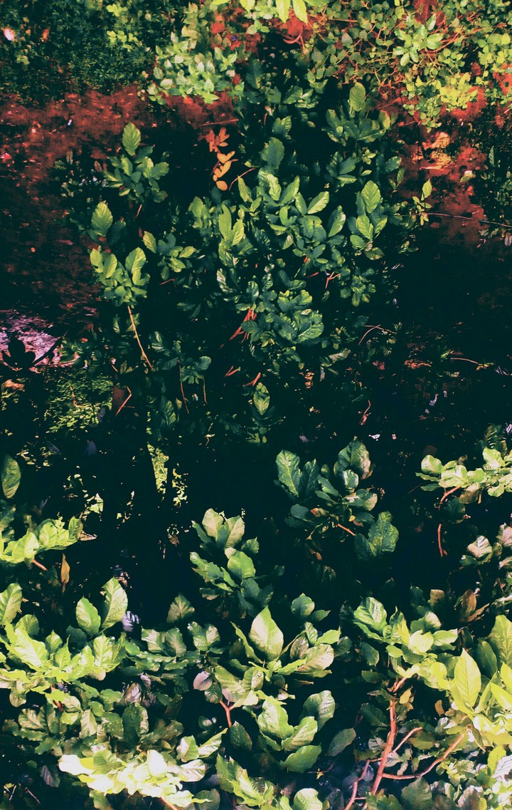 #naturephotography