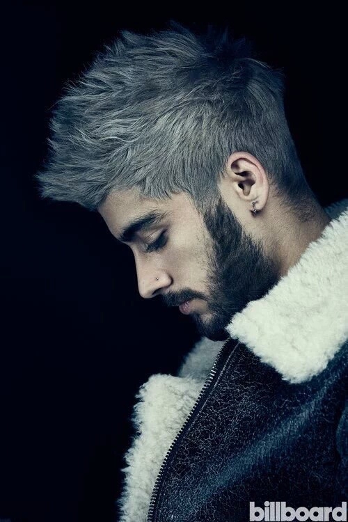 zayn
