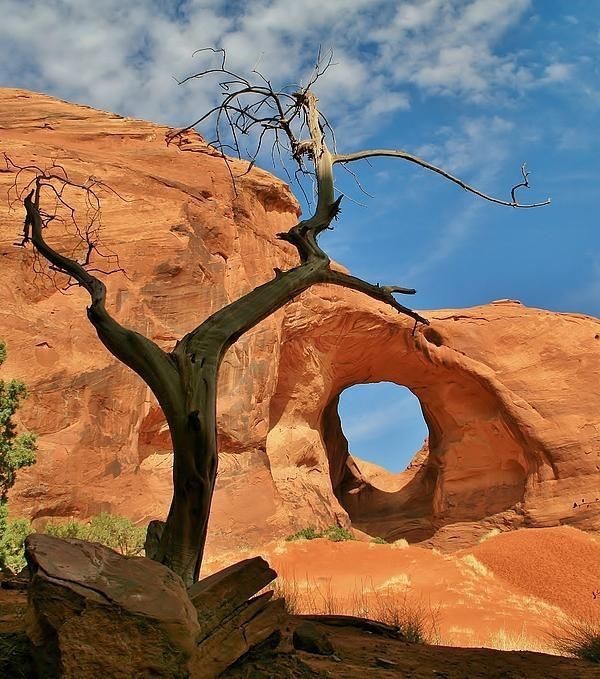 natural scenery