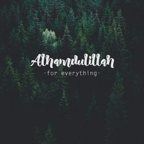 nature, text wallpapers