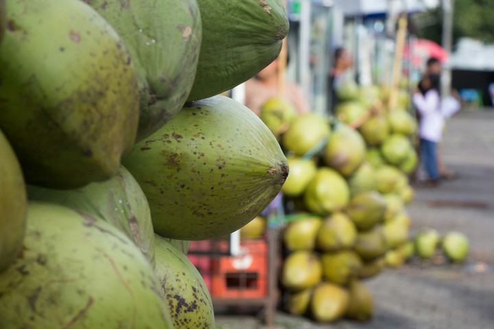 Coconuts