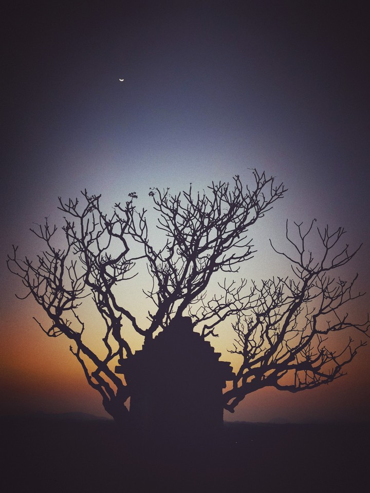 Before the Dark