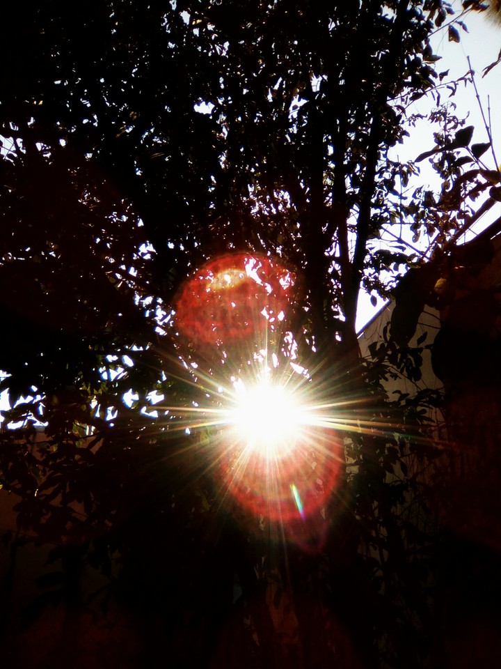 Sunshine