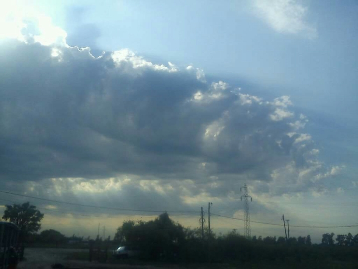 Cielo Gloria
