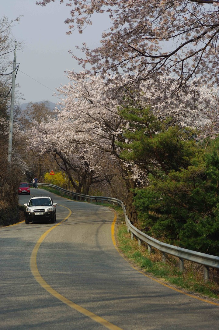 Spring