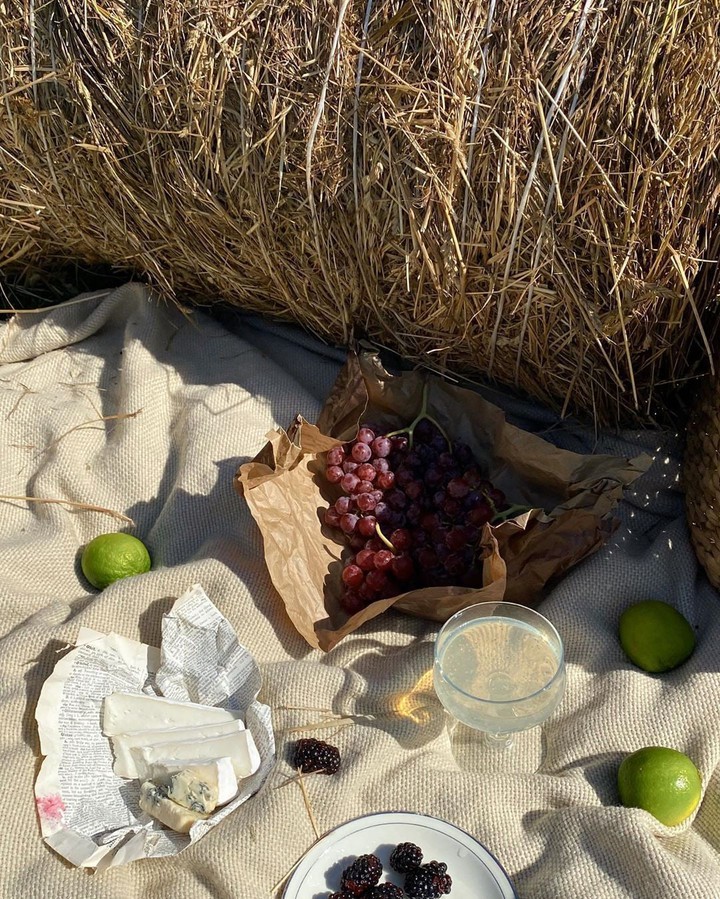 picnic