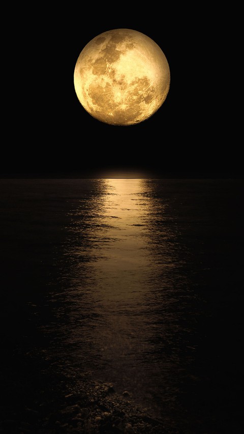 Wallpaper